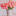 Icon flowerandthecity.ru