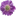 Icon flowers-engels.ru