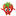 Icon tomatoclkc.ru