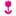 Icon wait-tulpanflowers71.ru