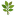 Herb