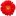 Флора Алтая