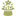 Цветочный этикет