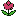 flowersdmd.ru