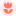 flowwow.ae