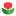 Цветы от меня