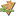 kotraskraskin.ru
