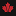 maple-leaf.pro
