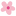 Мидори