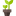 Sukkulenty24